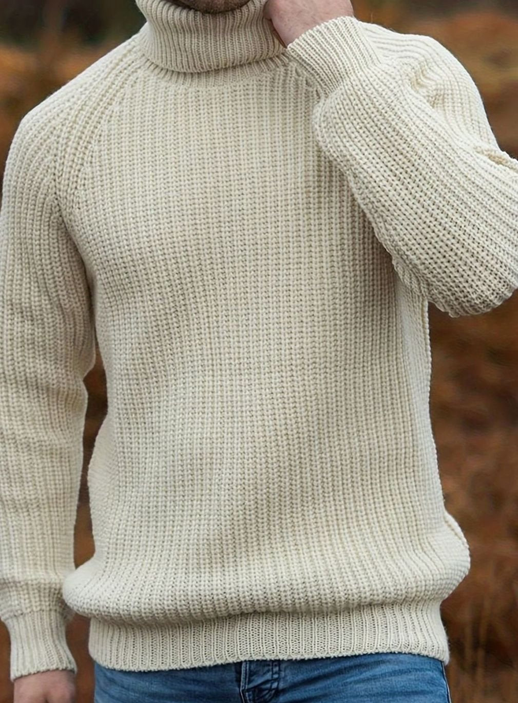 Lucas | Men's Ribbed Knit Turtleneck Sweater Regular Fit Pullover