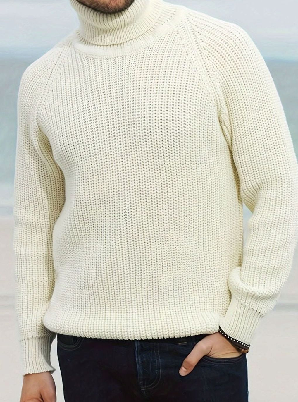 Lucas | Men's Ribbed Knit Turtleneck Sweater Regular Fit Pullover